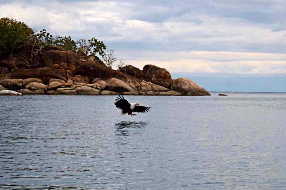 Mgoza Lodge Cape Maclear Exterior foto